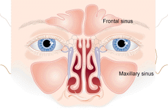 Nose & Sinus Disorders